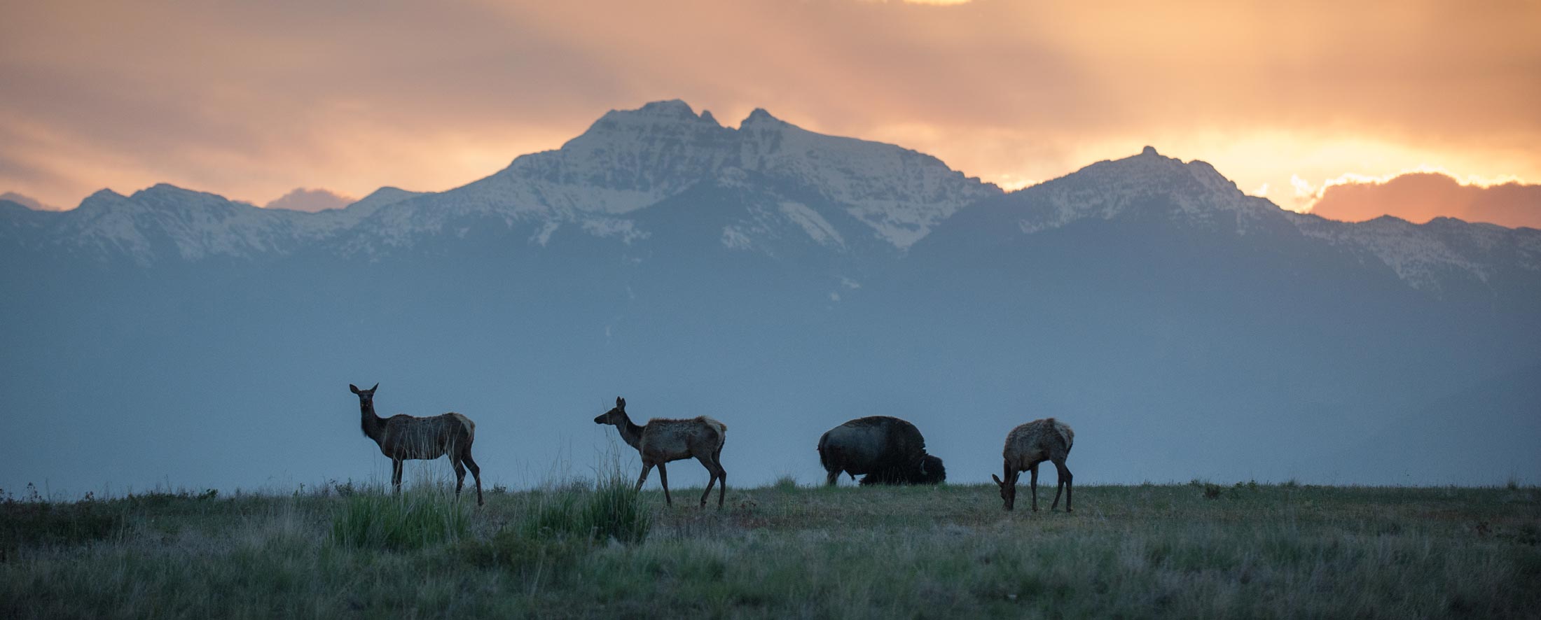 Moiese, MT in Western Montana