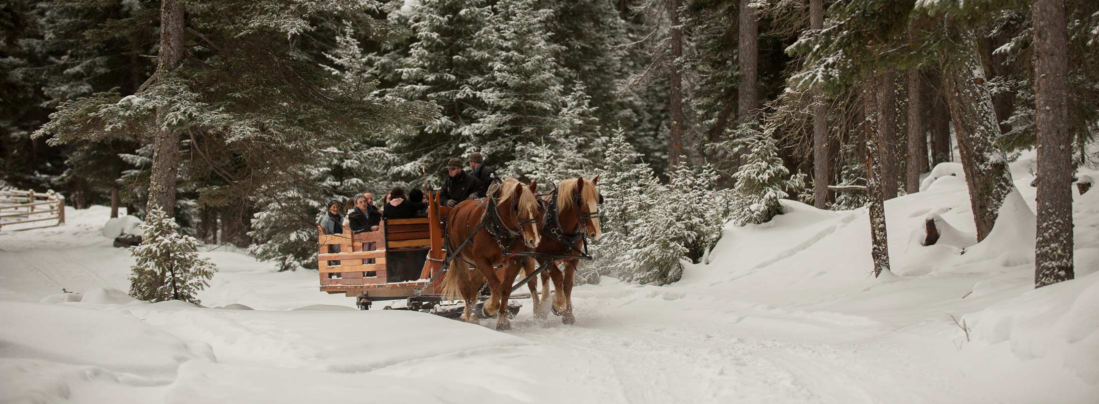 Trego, MT in Western Montana