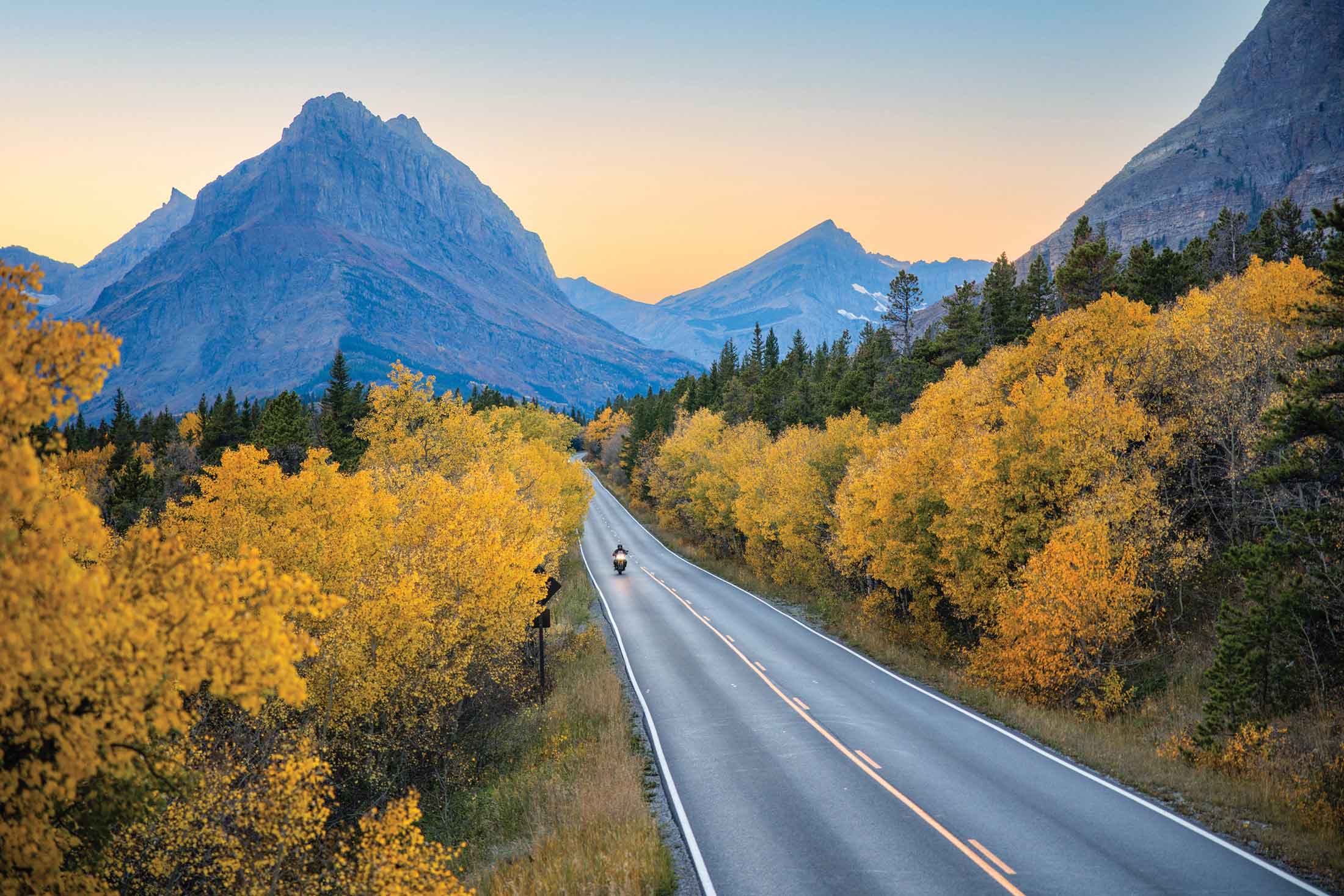 The sun shines over the fall views and the Tamarack Trees in Glacier National Park, Montana
